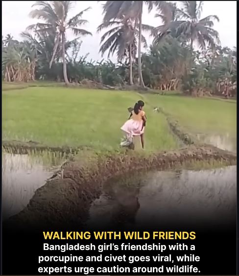ඩිස්නි කුමරිය