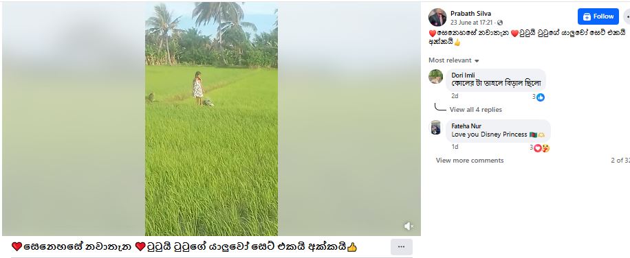ඩිස්නි කුමරිය