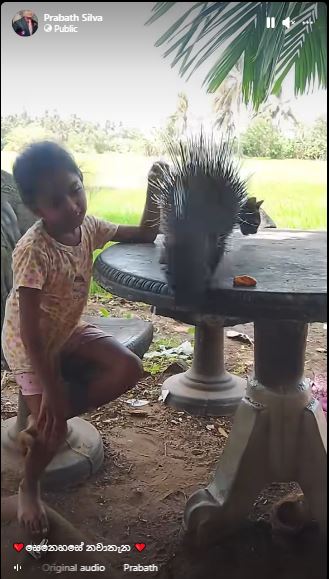 ඩිස්නි කුමරිය