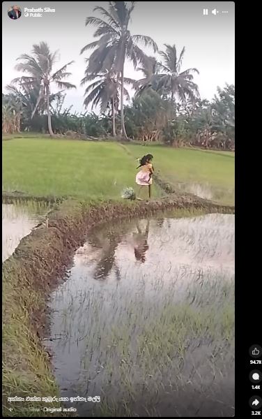 ඩිස්නි කුමරිය