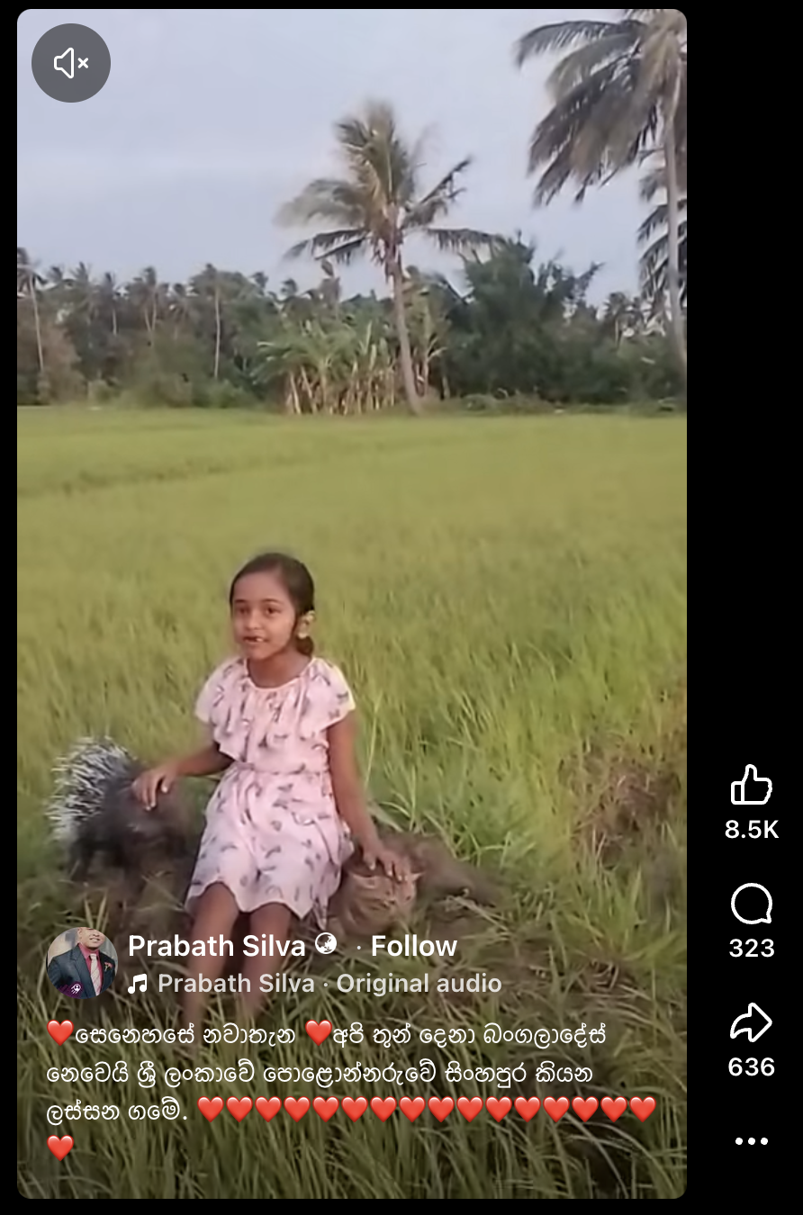 ඩිස්නි කුමරිය